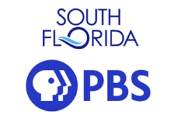 sponsor_sfpbs-2024-2