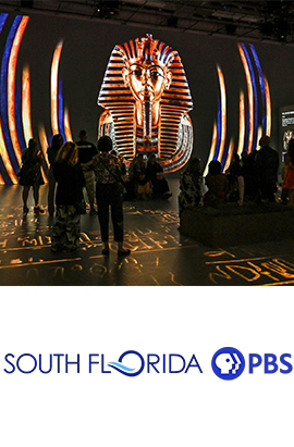 Lindsey Wuest, M. Ed.
Science through Art Specialist
A.D. Henderson University School
Florida Atlantic University